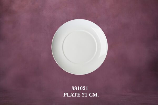 1381021 Plate 21 cm.