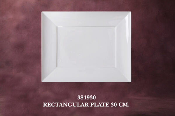 1384930 Rectangular Plate 30 cm.
